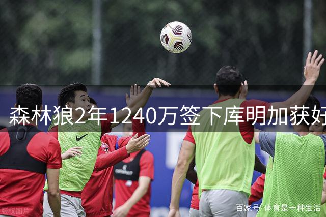 森林狼2年1240万签下库明加获好评 鹈鹕引进马瑟林获肯定